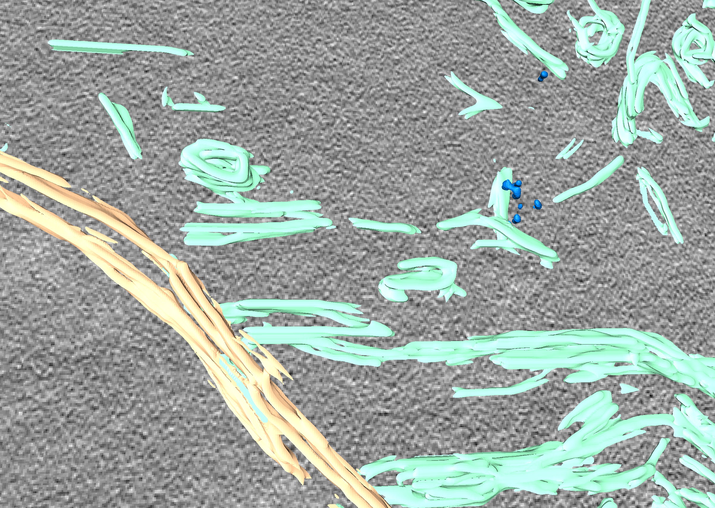 Cell death activating mechanisms in the myocardium - Titelbild