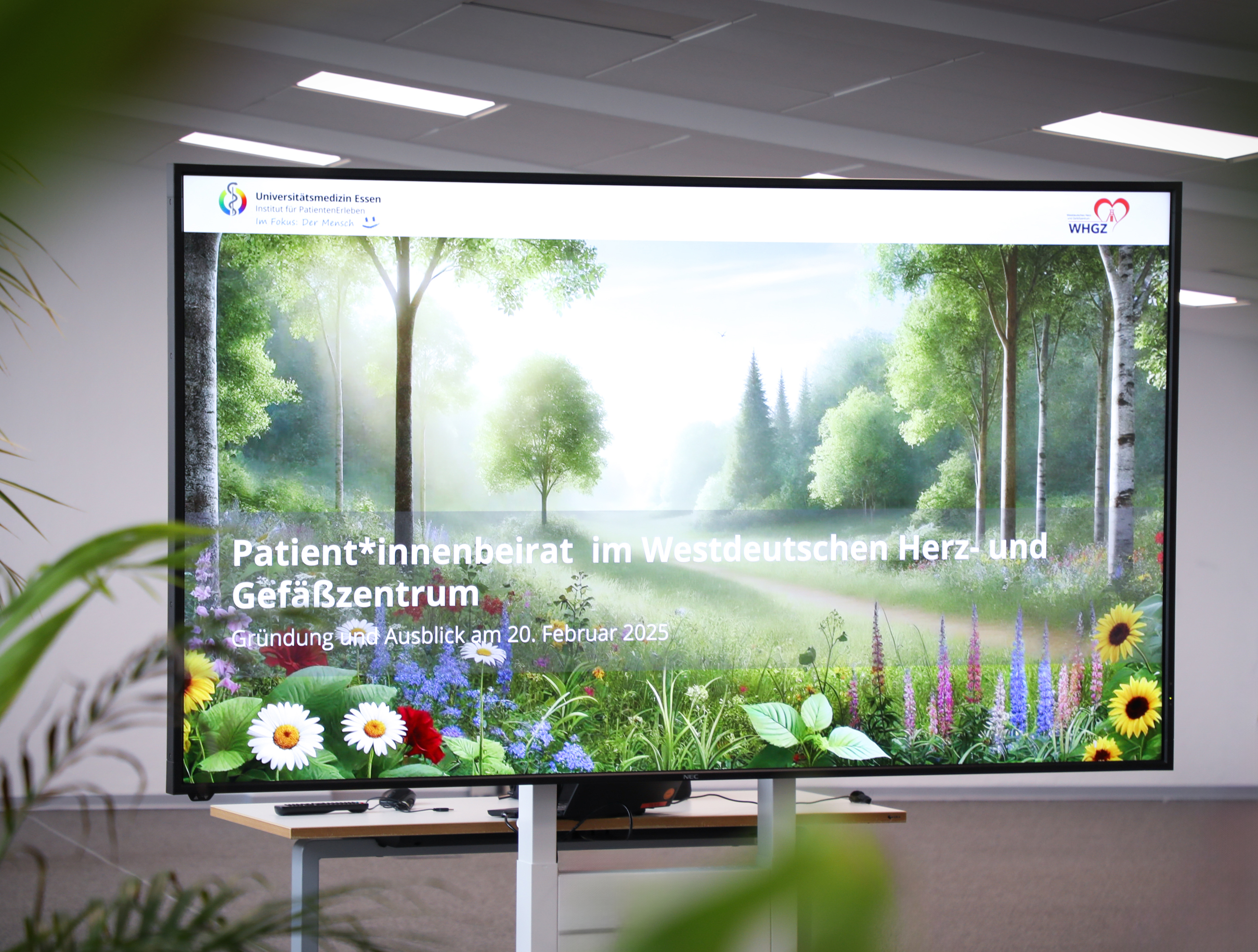 Patientenbeirat des Westdeutschen Herz- und Gefäßzentrums - Titelbild